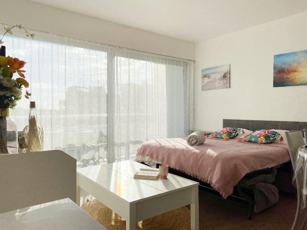 CORMORANE 1 - Balcon, Plage 100m - D3 - 2