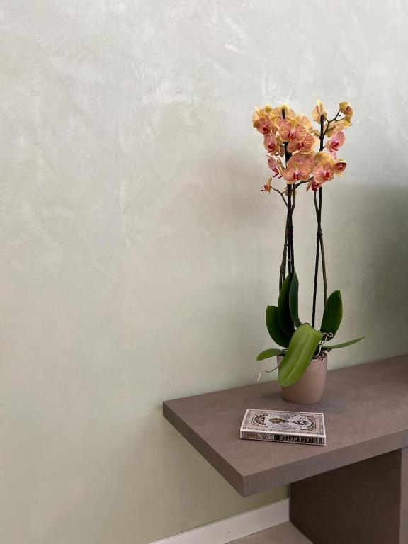 Casa di Faby - Welcome apartment Sanremo - 4