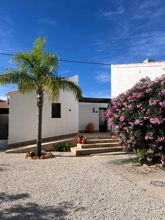 Finca Bona Nit - 1