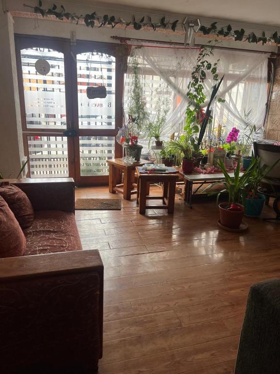 Hostal Colonial - 1