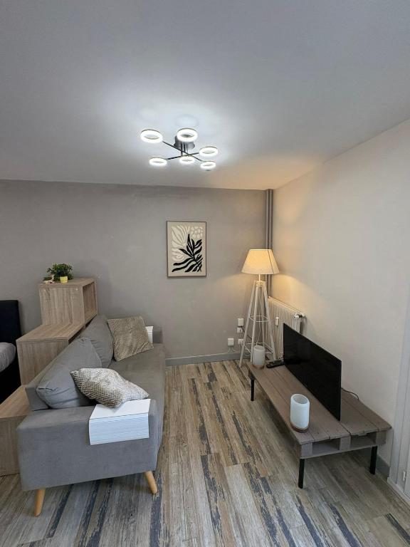Studio du parc - cosy Orléans centre - 1