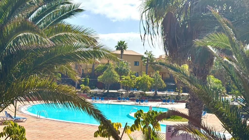 Sun & Sea Apartment in Corralejo - 3
