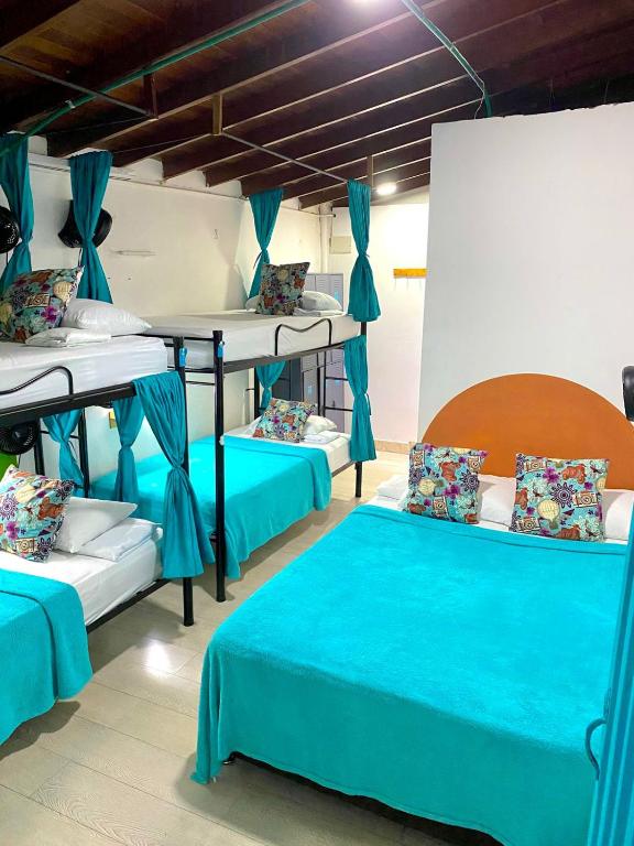 Spring Hostel - 3