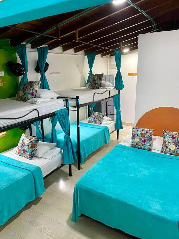 Spring Hostel - 4