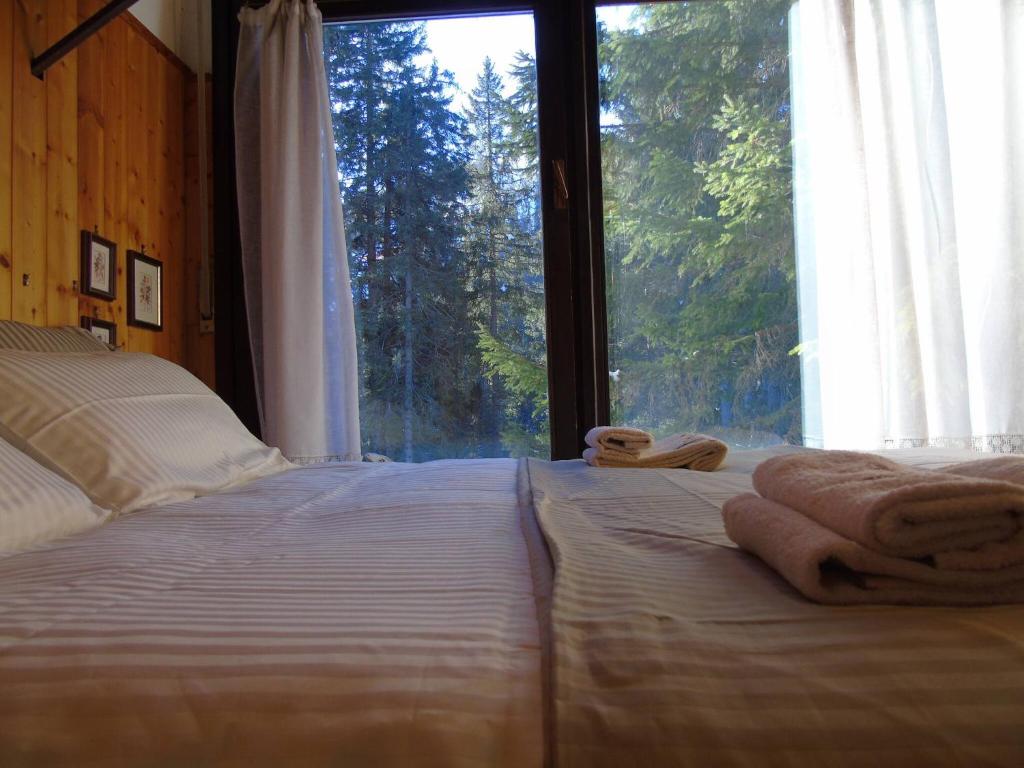 Hs4U Chalet sulle piste - Dolomiti - Madonna di Campiglio - 3