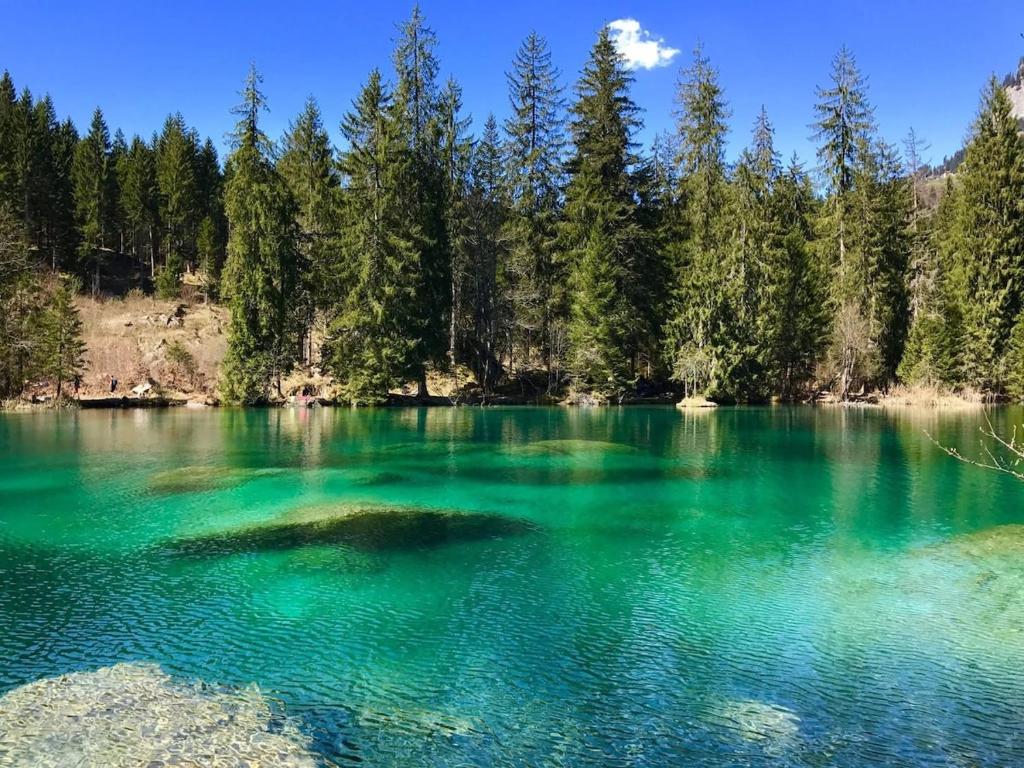 Flims Laax, Parking, Ski, Ski room, Self Check-in Wi-Fi Caumasee - 3