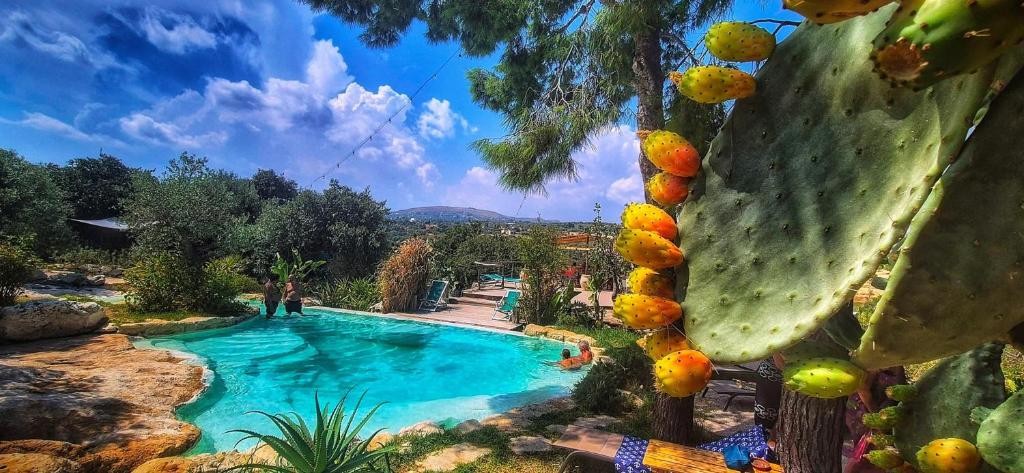 Oasi conca d'oro glamping - 4