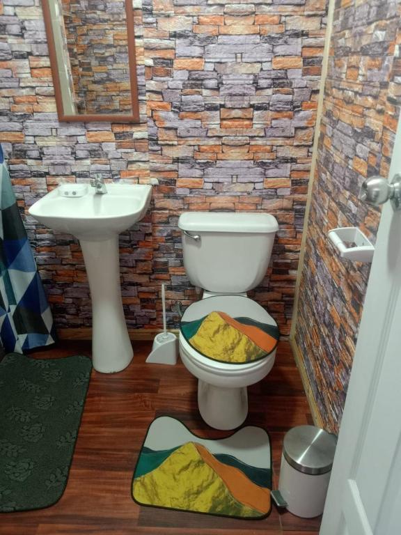 Furnished cabin in Colbun, Maule Region - 2