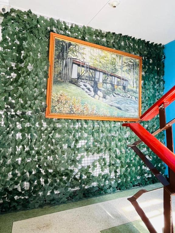 Hostal Colombia plaza - 4