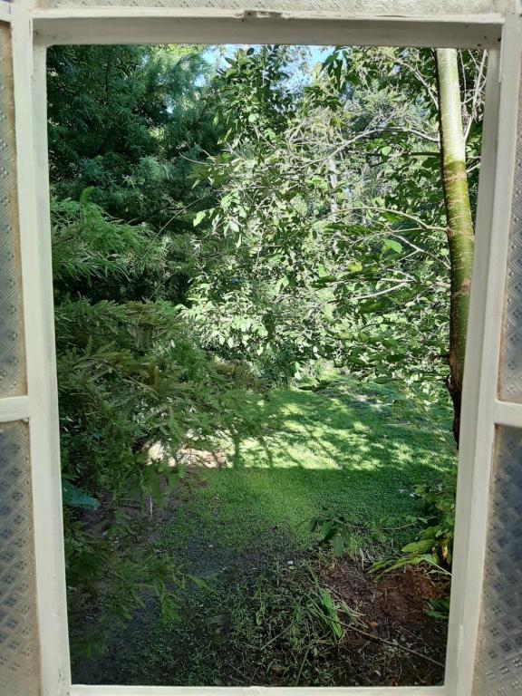 Ganesha en el Levante del Sol - 4