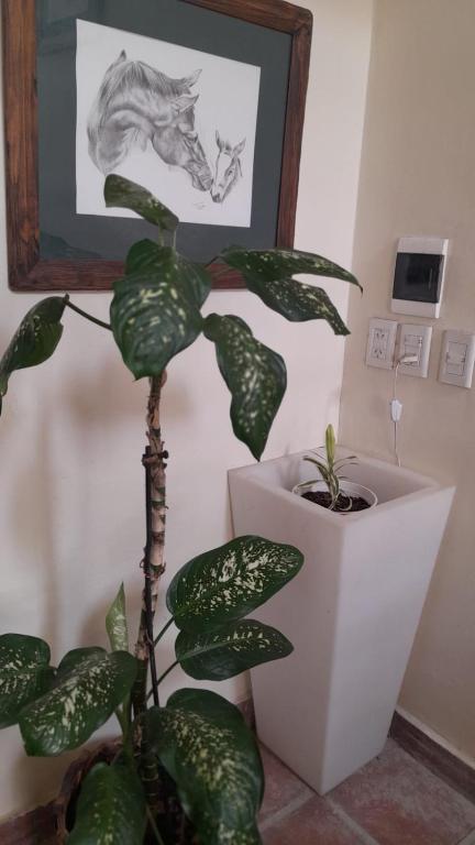 Loft Turístico - 2