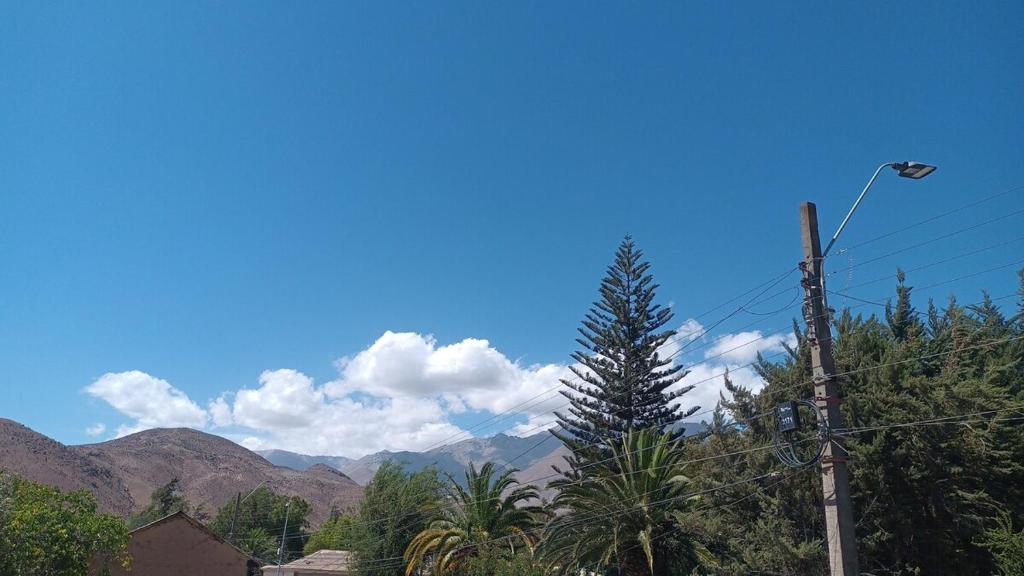 Tree house in the Elqui Valley - 3