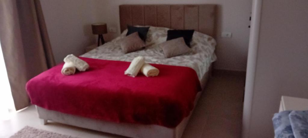Apartman Bibi centar - 2