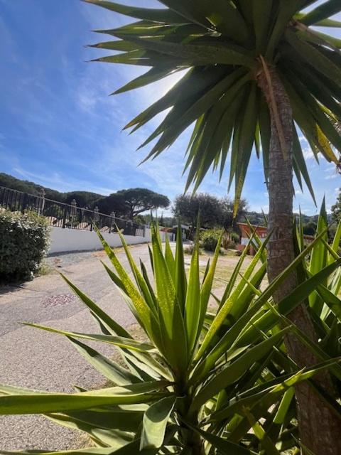 Camping La Provençale - Maeva - 5