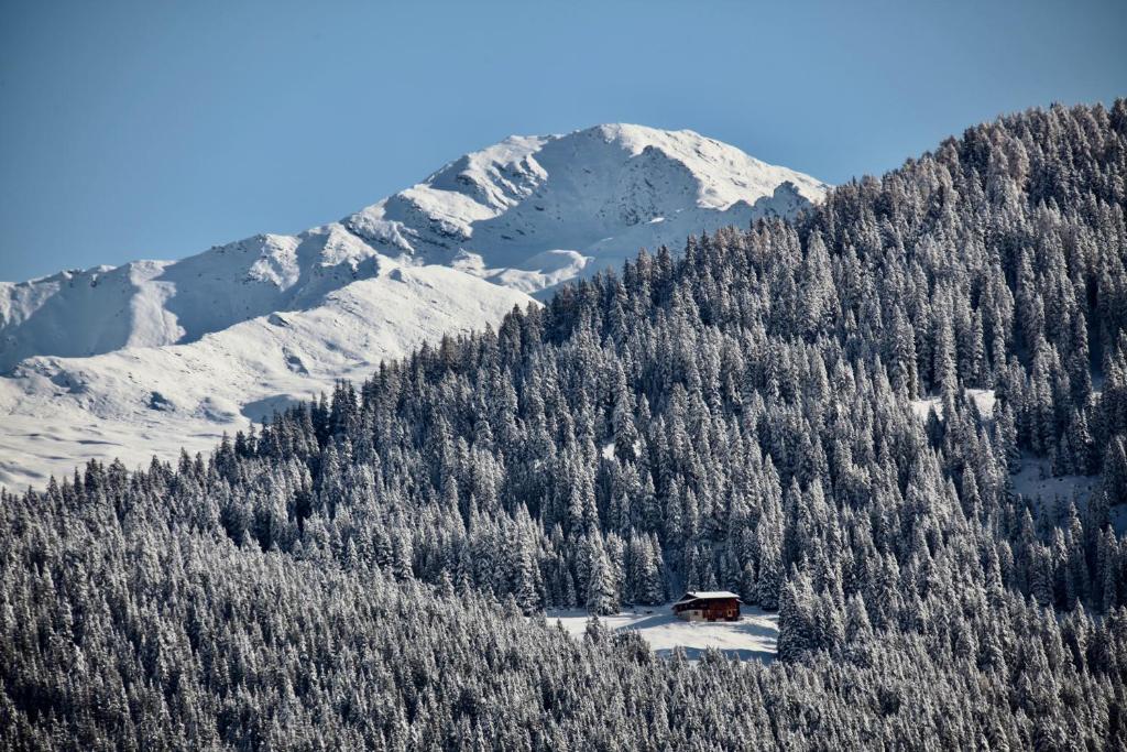 New renovated apartment in center of Davos - 3