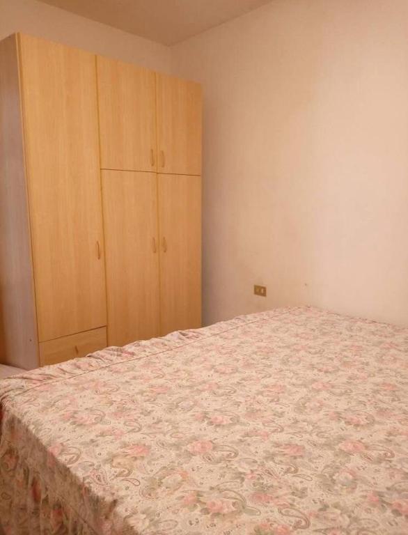 amazone house - appartamento - 1