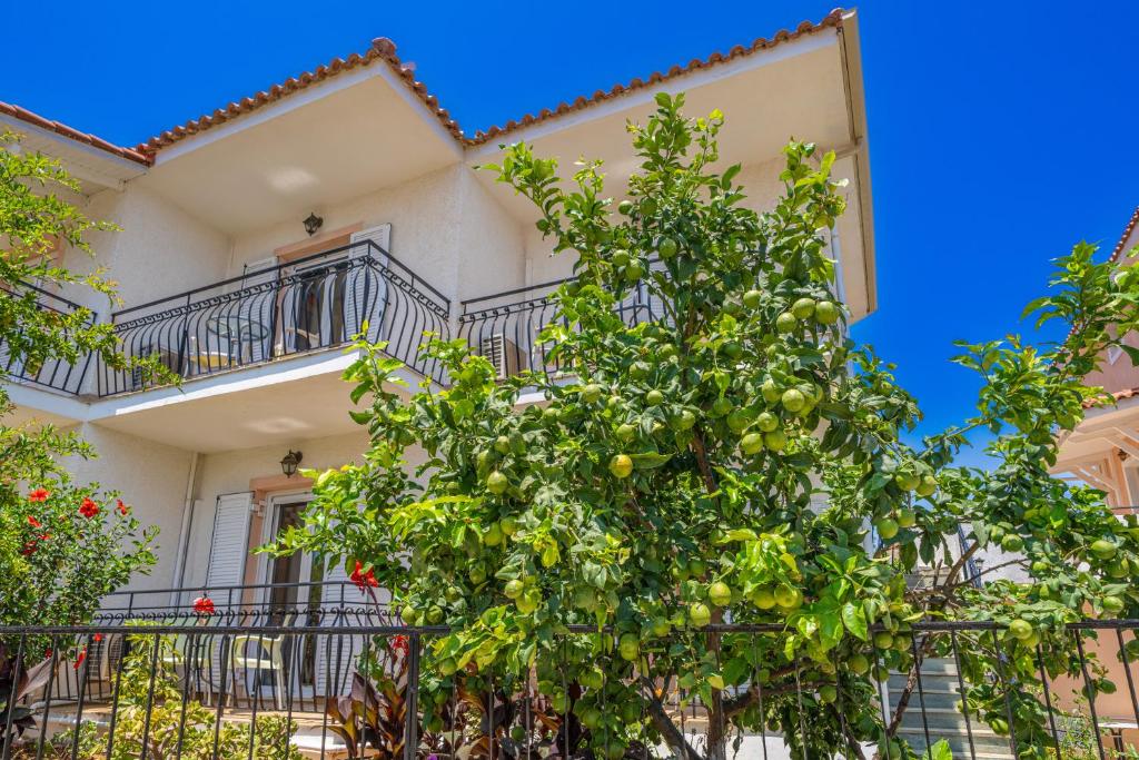 Dionysios Studios — Hotel building in Skala (Kefalonia), Ionian Islands