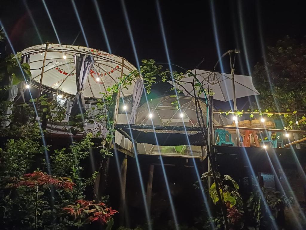 Moradamafe - 1
