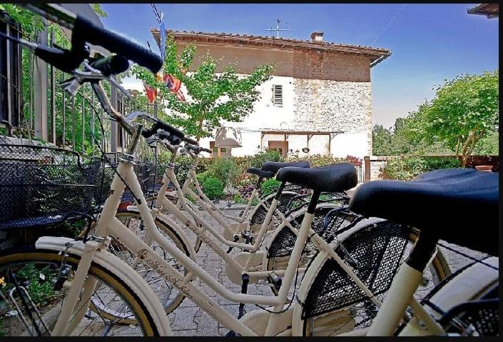 Hotel Arcobaleno - 5
