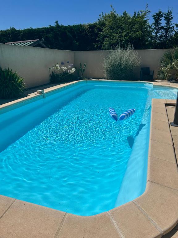 Les hirondelles Piscine privée climatisation billard calme 4 lits - 2