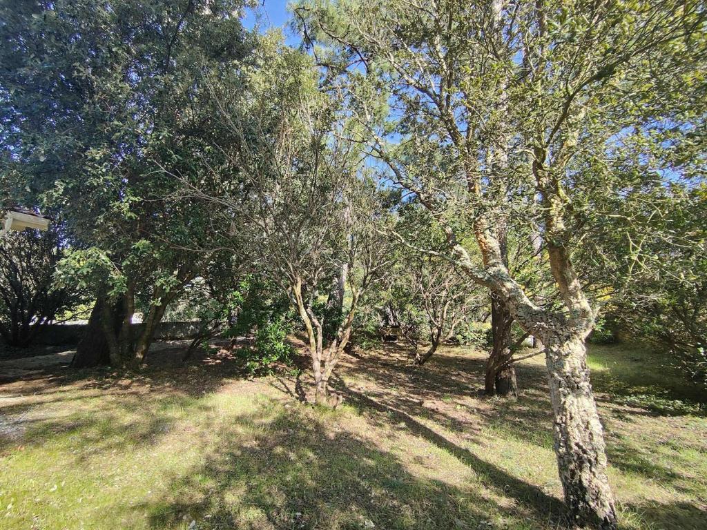 Villa avec jardin clos à Lège-Cap-Ferret, 3 chambres, proche plages - FR-1-736-56 - 4