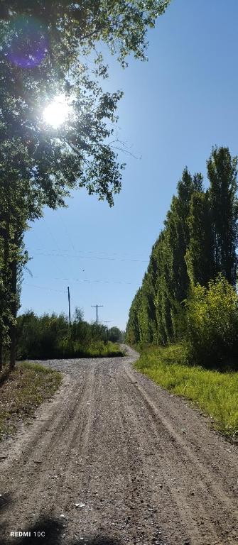 La Chacrita de Río Colorado - 4