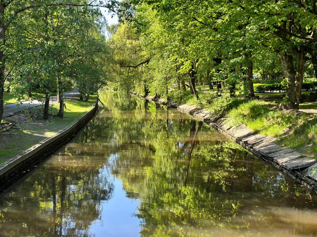 Surrounding environment