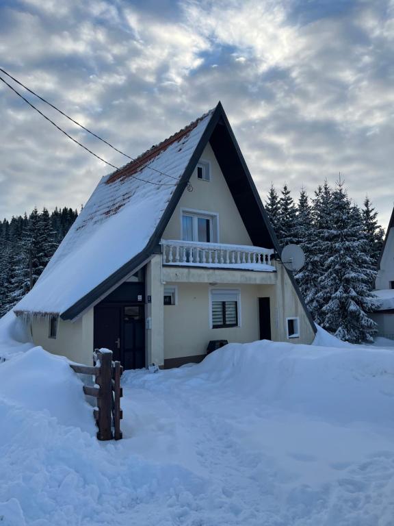 Winter House - 1