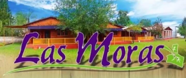 Cabañas Las Moras - 1