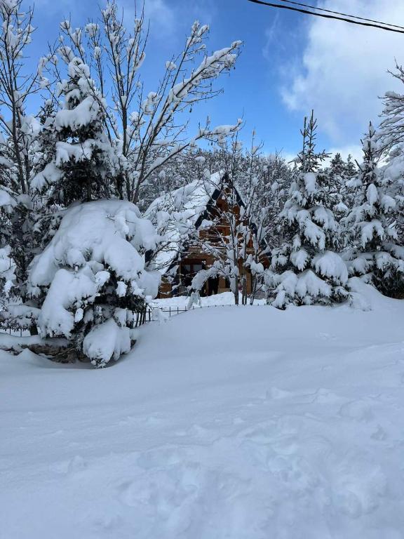 Mjeseceva staza Zabljak - 3