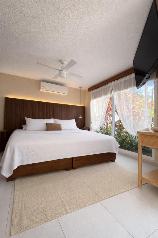 Cozy and central private room with pool - 5
