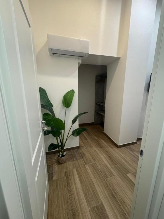 Maison Ecce Hom0 - 4