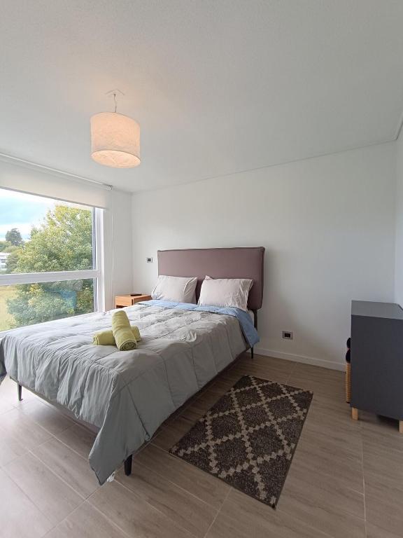 Isla Teja Accommodation - 2