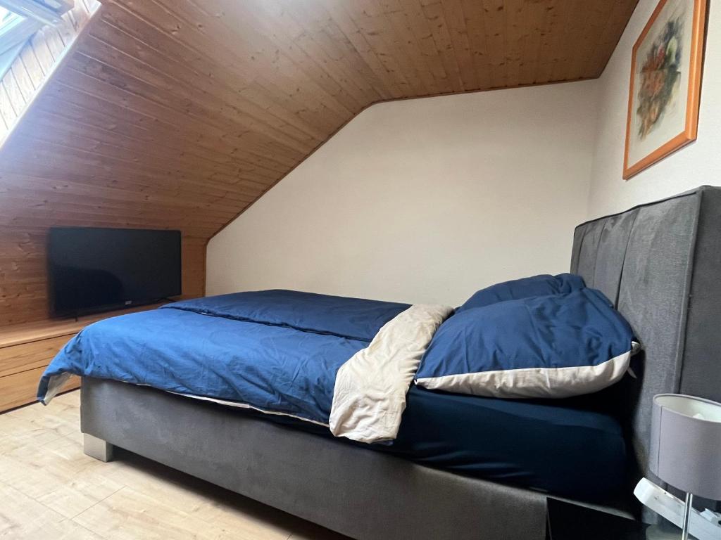 Beishan Appartements Nürnberg in Zentrum Dachgeschoss - 5