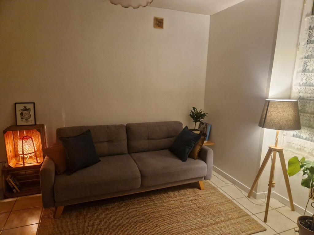 1 bedroom apartment near town centre and CHU - 5