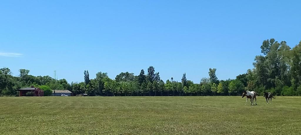 La Chacra - 4