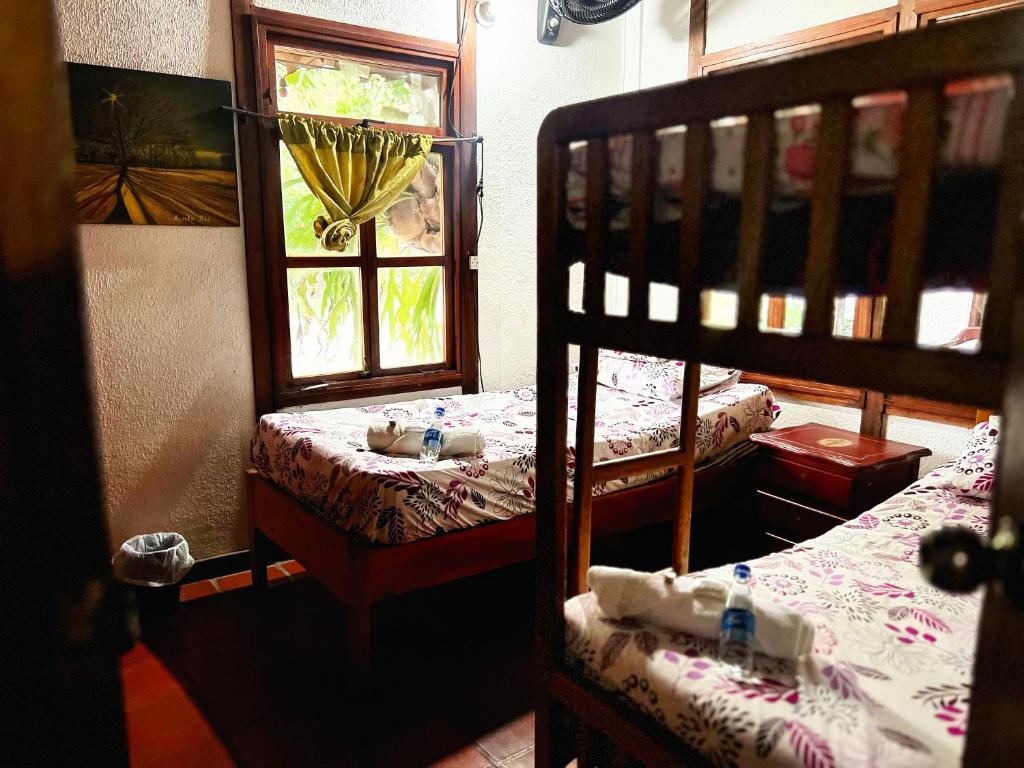 La Cornalina - 4
