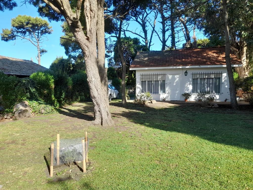 Casa Alfar - 1