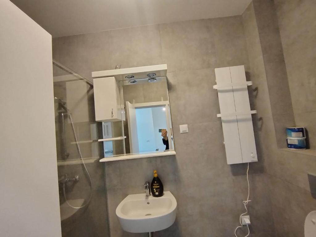 Apartman Gala Beograd - 3