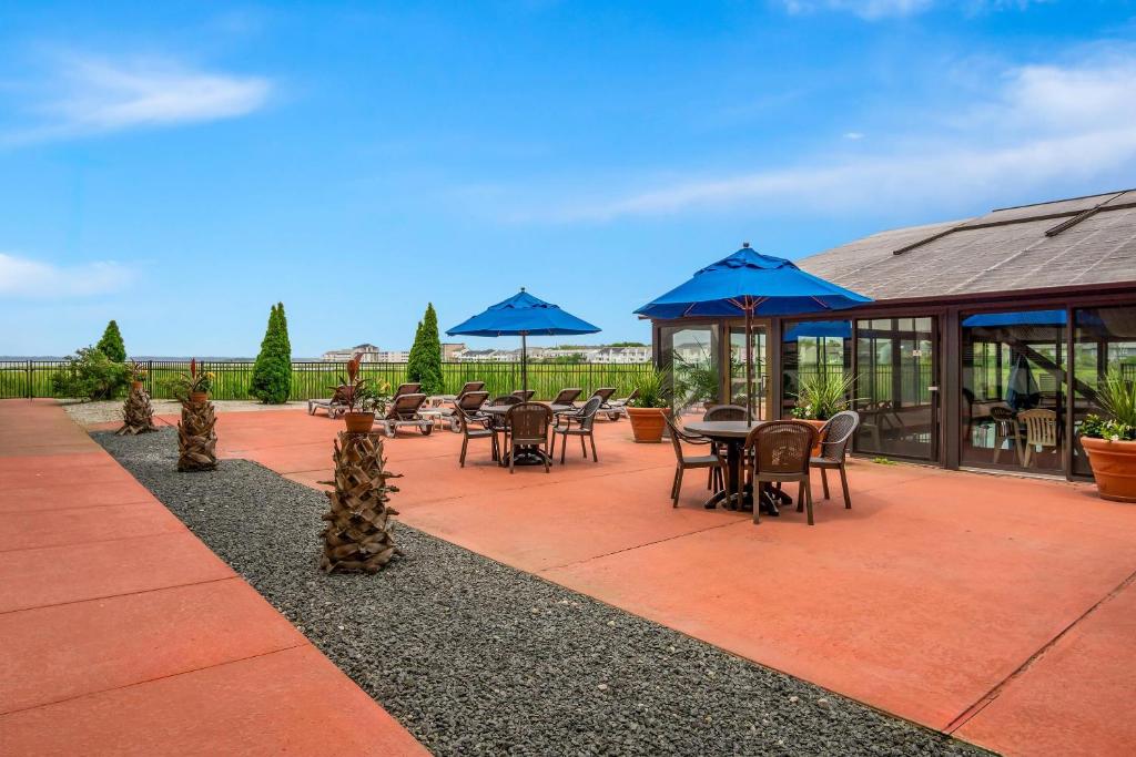 スイミングプール