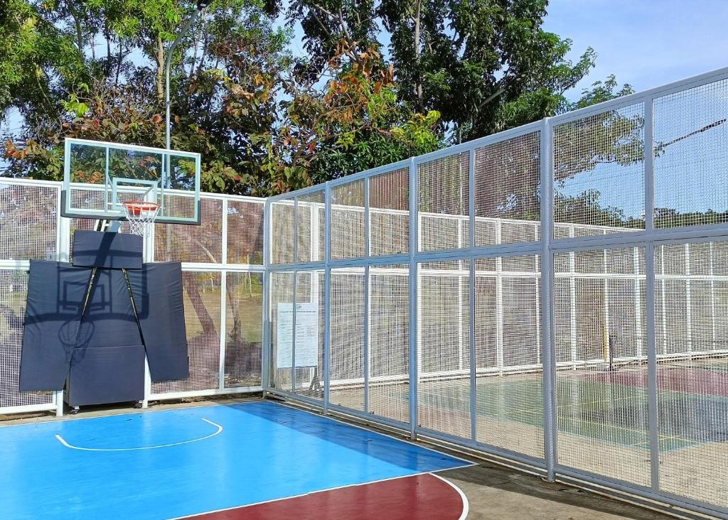 Sports and activities