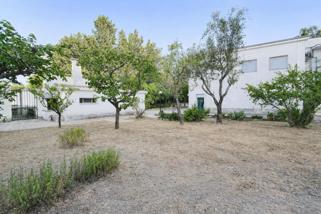 Le Cenate 44 by Salento Mare Cielo Travel Slow Live More - 2