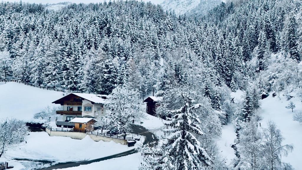 Pension Riese - 3