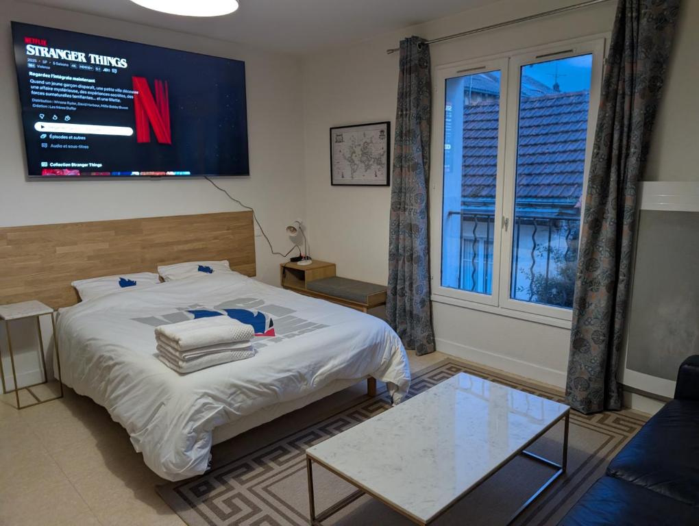 Joli appartement cœur de ville - 3