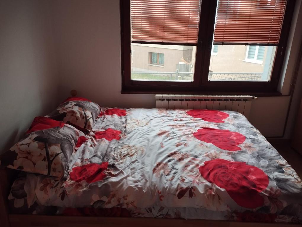 Apartmani Emir - 1
