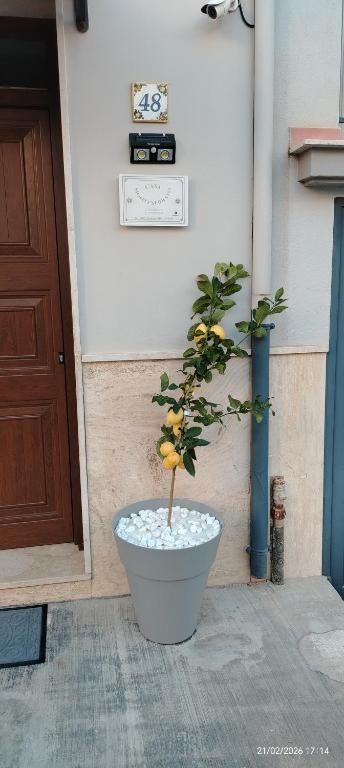 Casa Monteserrato - 2
