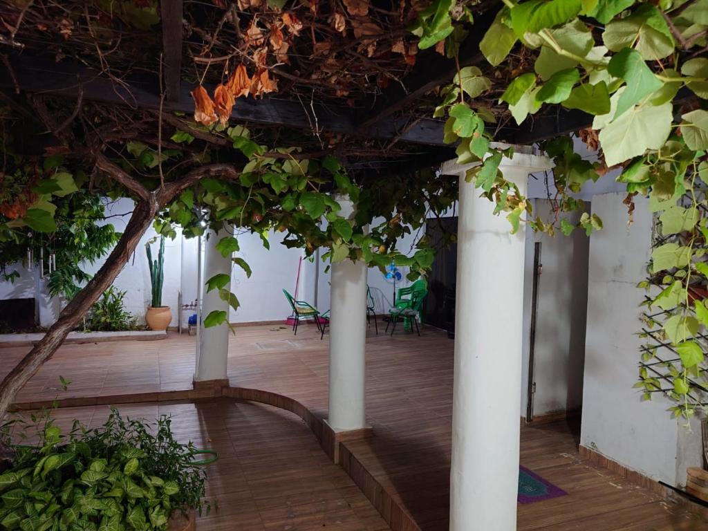 Hostel Chaton - 3