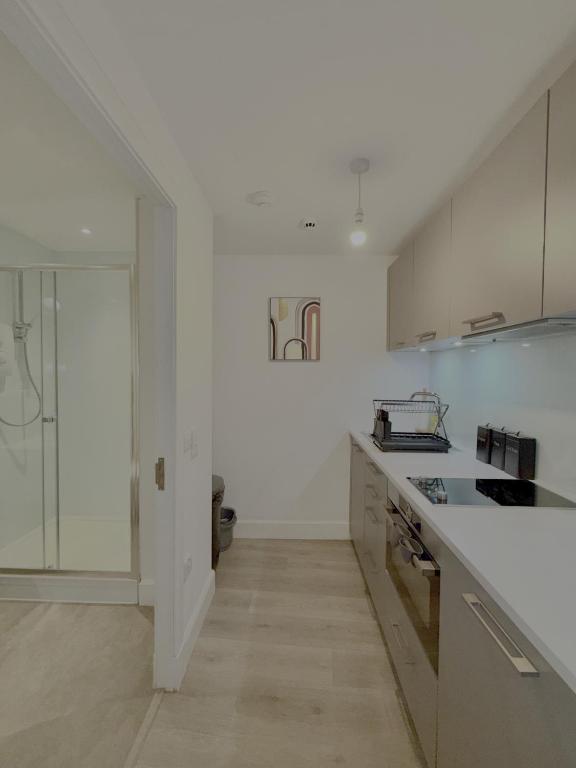 Edinburgh Lothian Studio Apartment photo 4