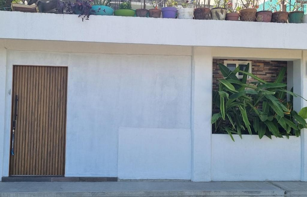 Casa Nido Verde PXM - 4