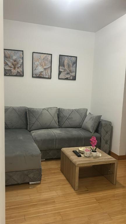 Apartman K10A5 Zlatibor - 3